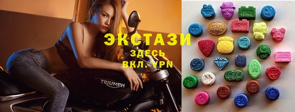 СК Дмитровск