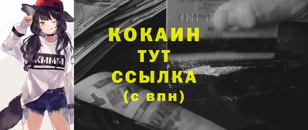 крисы Дмитриев