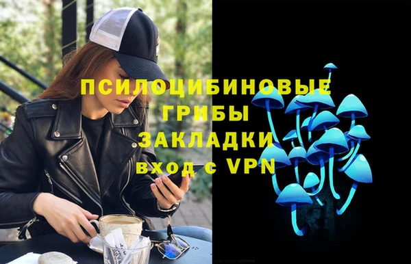 крисы Михайлов