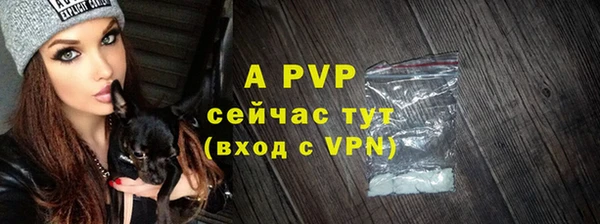 СК Дмитровск