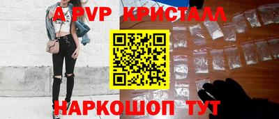 спиды Камышлов
