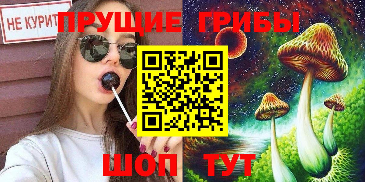 Обь  Псилоцибиновые грибы прущие грибы  Вход с VPN  Псилоцибиновые грибы мухоморы 